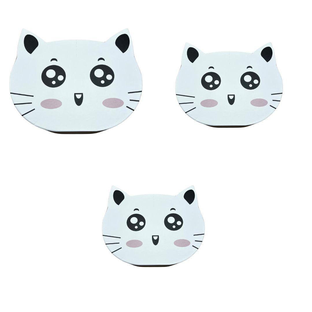 CAJA DE REGLO GATO 3 TAMAÑOS 