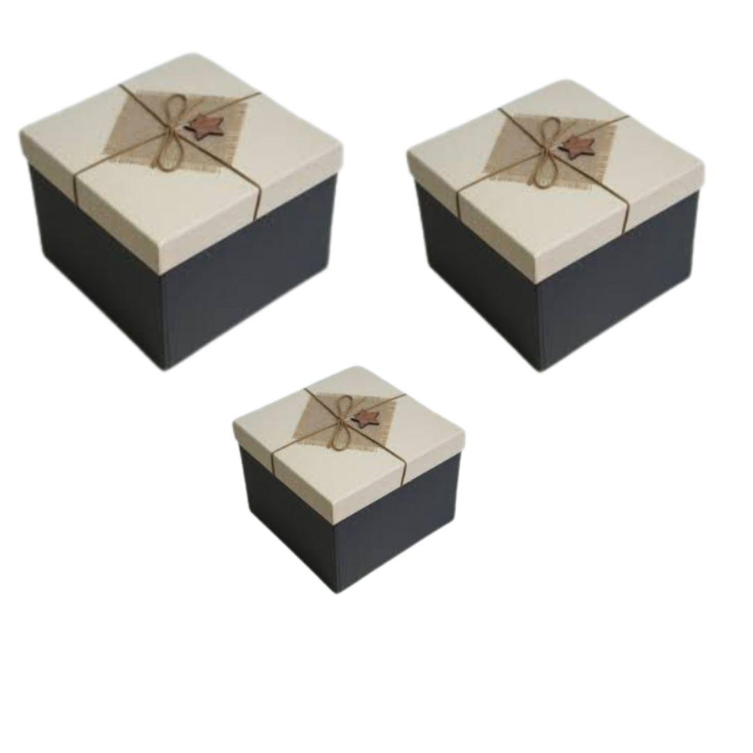 SET CAJA X3 19X19X14/22X22X16/24	
