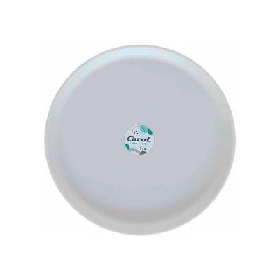 PLATO PLAST. 25 CM 