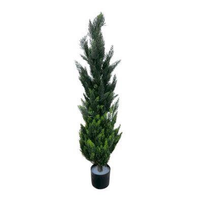 Ciprés 120 Cm Con Maceta 