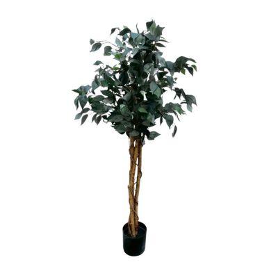 Baniano 150 Cm Con Maceta 