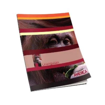 Cuaderno X24HJS /America 160X210mm