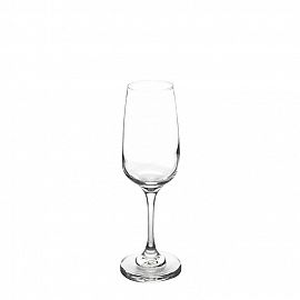 Copa Champagne Trentino 247cc ART.5482AL24