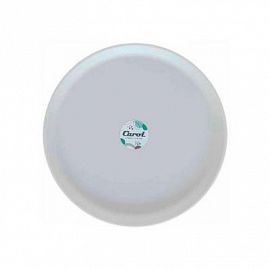 PLATO PLAST. 25 CM -TIZA