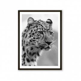 Cuadro Moldura Fina 30x40