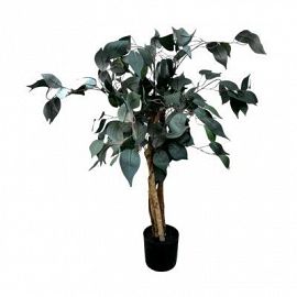 Baniano Con Maceta 90Cm