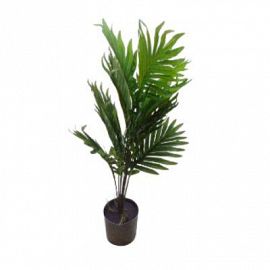 Plantas En Maceta 65*60*60 Plástico