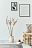 DECORACION