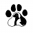 MASCOTAS